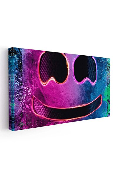 Tablou Canvas DJ Marshmello, cod 2402