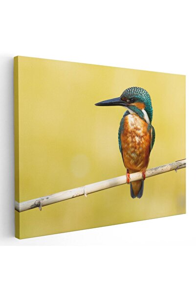 Tablou Canvas Tablou pasare pescaras albastru in natura, cod 5198