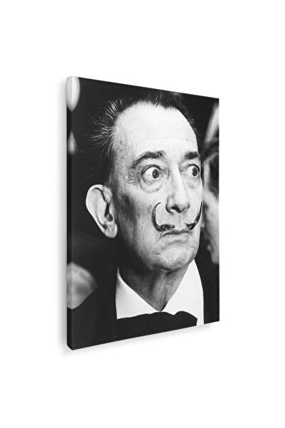 Tablou Canvas Tablou portret pictor Salvador Dali, alb, negru, cod 1389