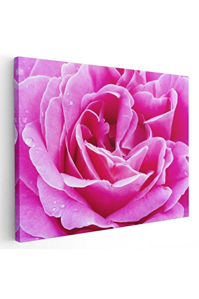 Tablou Canvas Tablou floare trandafir roz detaliu, cod 2632