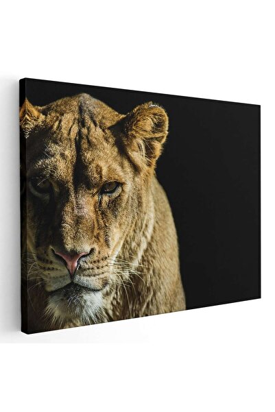 Tablou Canvas Tablou portret leoaica, cod 3245