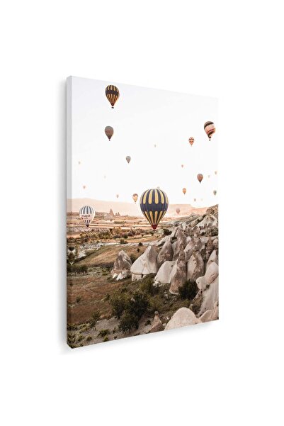 Tablou Canvas Tablou peisaj si baloane cu aer cald, cod 4483