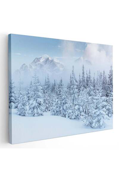 Tablou Canvas Tablou peisaj brazi munte iarna, cod 2734