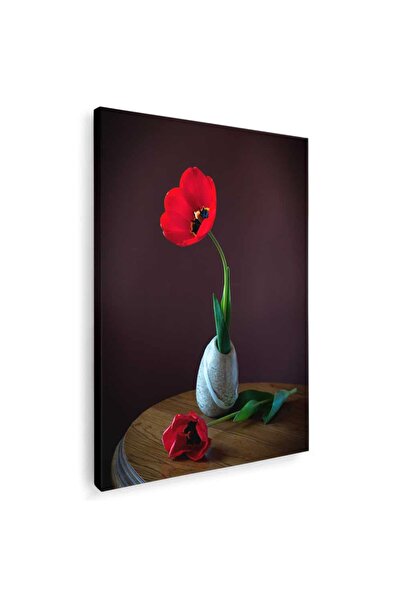 Tablou Canvas Tablou vaza cu lalea rosie, cod 2610