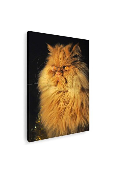 Tablou Canvas Tablou pisica persana crem pisici, cod 3079