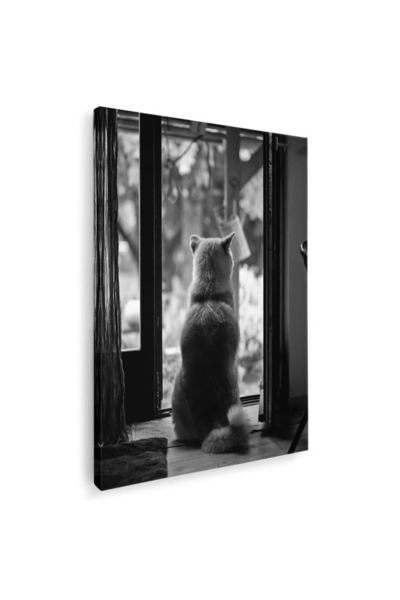 Tablou Canvas Tablou pisica cu spatele in pragul usii, cod 4274