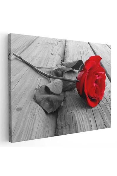 Tablou Canvas Tablou trandafir rosu, cod 4292