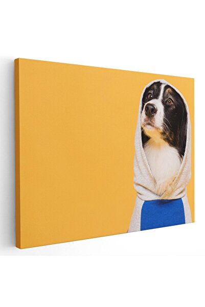 Tablou Canvas Tablou caine imbracat in hanorac, cod 4190