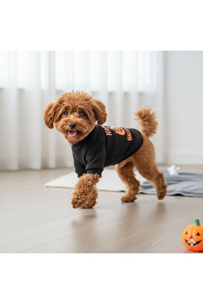 PetiliDünya hallowen kabak baskı köpek kıyafeti kedi köpek sweat