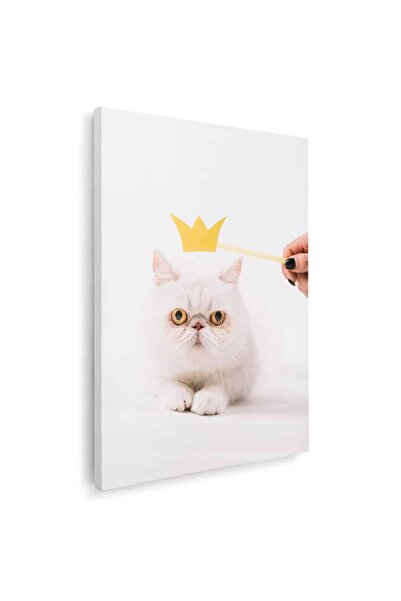 Tablou Canvas Tablou pisica alba coronita printesa, cod 4242