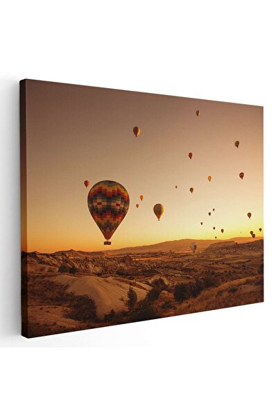 Tablou Canvas Tablou peisaj cu baloane cu aer cald la apus, cod 4489