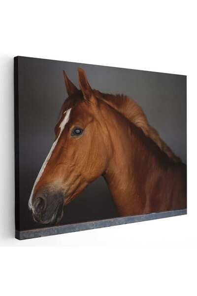 Tablou Canvas Tablou cal brun roscat (roib), cod 3049