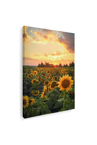 Tablou Canvas peisaj apus floarea soarelui nuante galben, verde, albastru, cod 1028