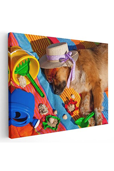 Tablou Canvas Tablou caine cu palarie dormind pe plaja, cod 4271