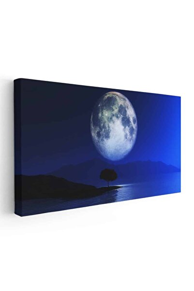 Tablou Canvas Tablou peisaj nocturn cu copac si luna, cod 4517