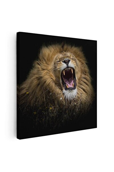 Tablou Canvas Tablou portret leu racnind, cod 3236