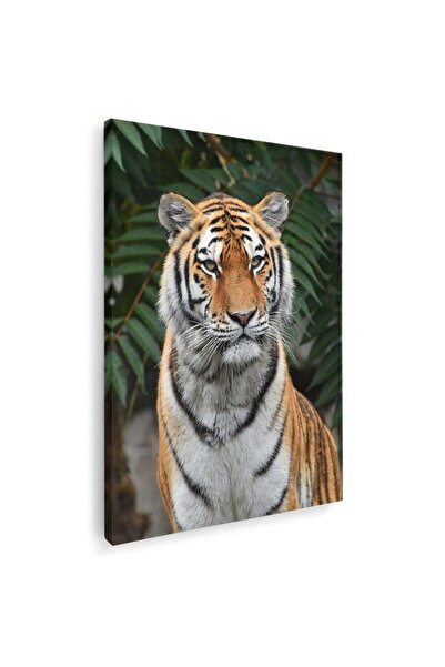Tablou Canvas Tablou tigru siberian, cod 3119