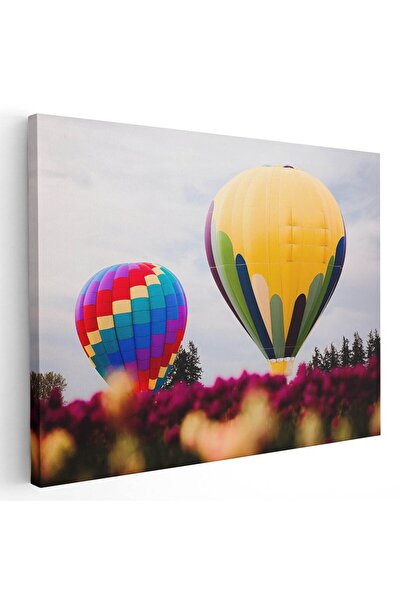 Tablou Canvas Tablou peisaj cu baloane cu aer cald, cod 4476