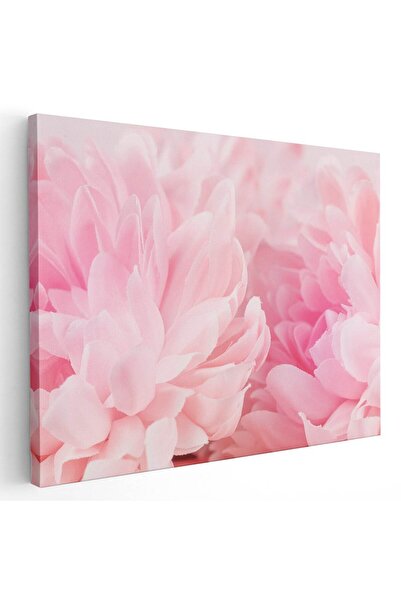 Tablou Canvas Tablou floare bujor roz detaliu, cod 2647