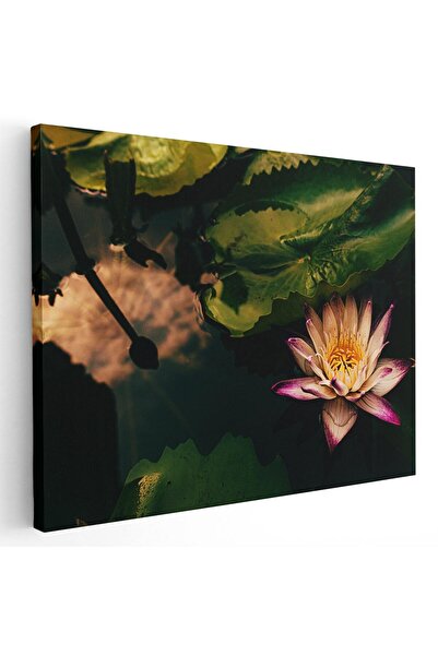 Tablou Canvas Tablou floare de lotus roz, cod 2662