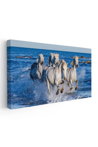 Tablou Canvas Tablou cai albi alergand prin apa, cod 3057