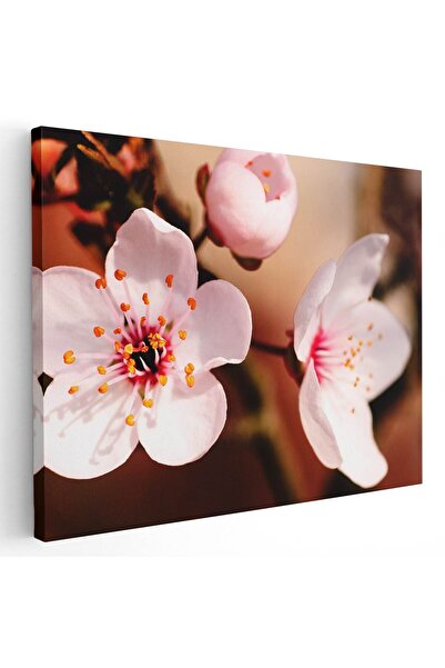 Tablou Canvas Tablou flori de copac inflorit primavara, cod 2676