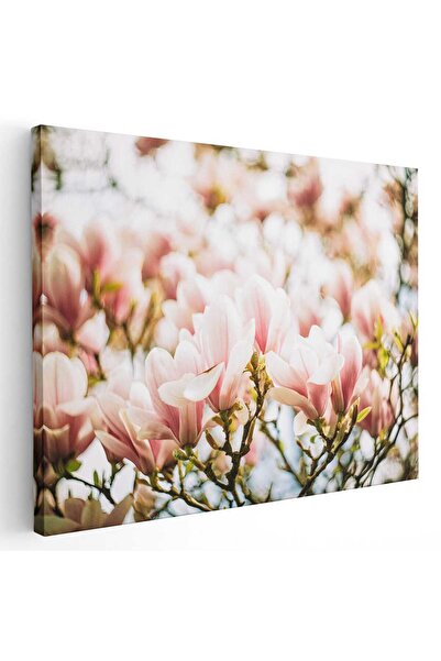 Tablou Canvas Tablou flori de magnolie roz, cod 2648