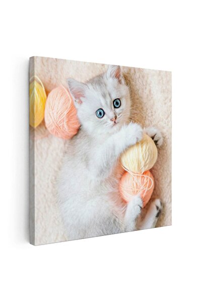 Tablou Canvas Tablou pisica jucandu-se cu gheme de lana, cod 4232