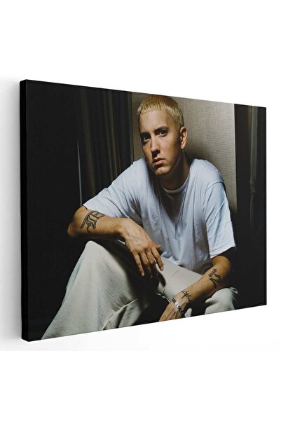 Tablou Canvas Eminem cantaret, cod 2409