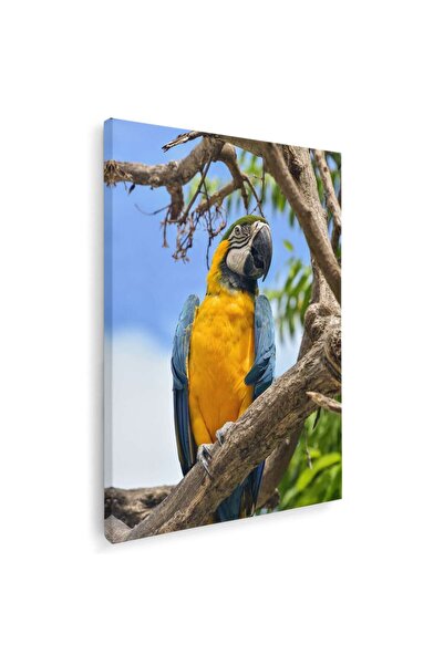 Tablou Canvas Tablou papagal Ara in natura, cod 5253