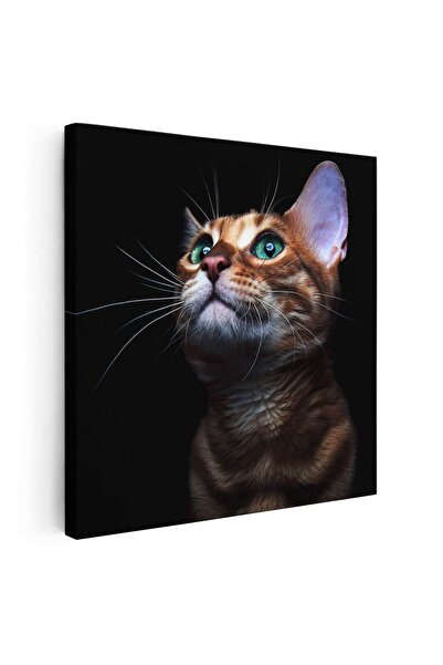 Tablou Canvas Tablou portret pisica bengaleza, cod 4257