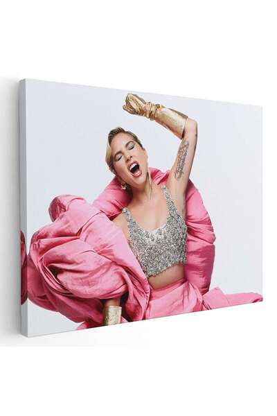 Tablou Canvas Lady Gaga cantareata, cod 2370