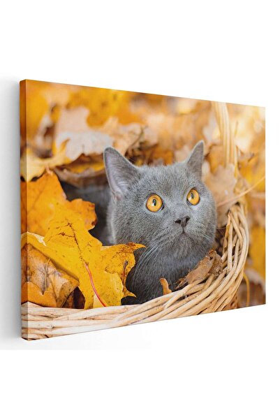 Tablou Canvas Tablou pisica gri in cosulet frunze toamna pisici, cod 3067