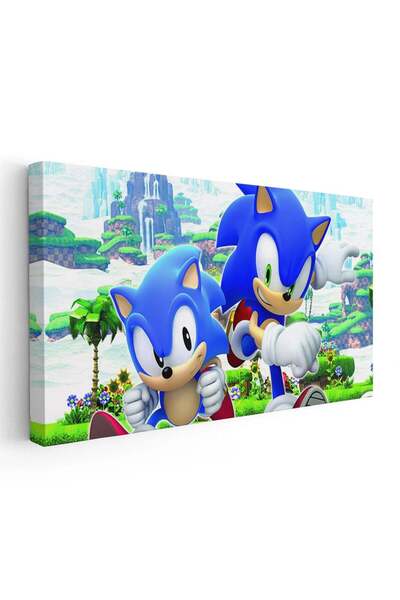 Tablou Canvas Tablou Sonic Ariciul, cod 3820