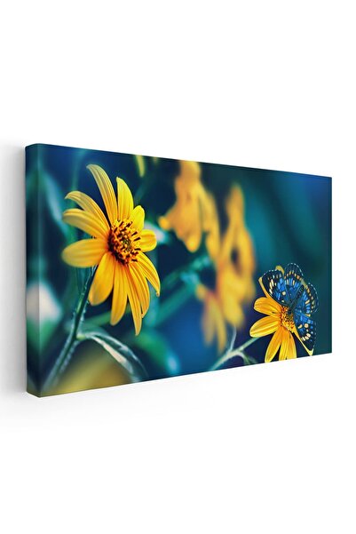 Tablou Canvas Tablou fluture albastru pe floarea soarelui, cod 1803