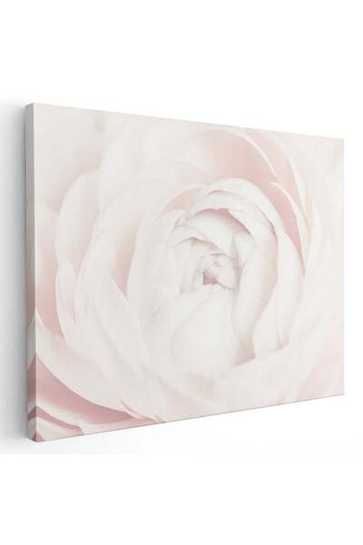 Tablou Canvas Tablou floare trandafir alb detaliu, cod 2620