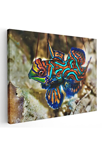 Tablou Canvas Tablou peste mandarin, cod 1904