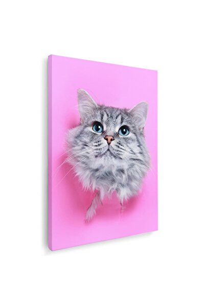 Tablou Canvas Tablou portret pisica gri cu negru, cod 3118