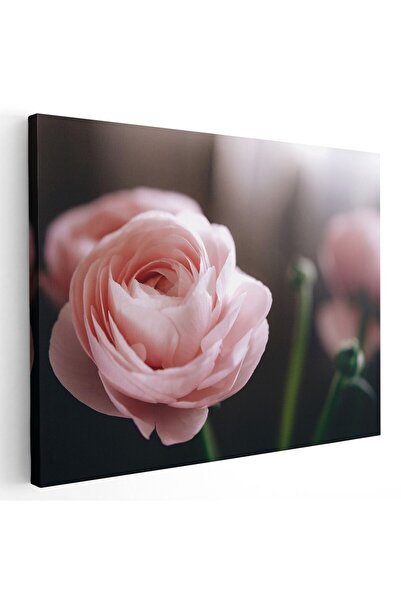 Tablou Canvas Tablou floare trandafir roz, verde, roz, cod 1617