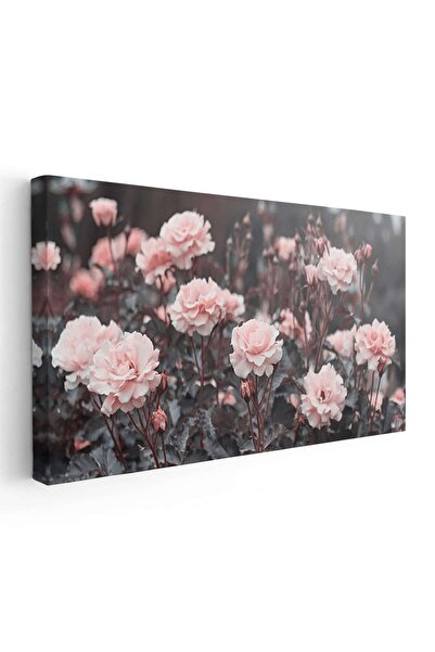 Tablou Canvas Tablou flori trandafiri roz, roz, gri, cod 1792