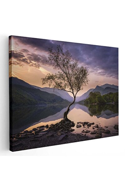 Tablou Canvas Tablou copac singuratic munti la apus, cod 5532