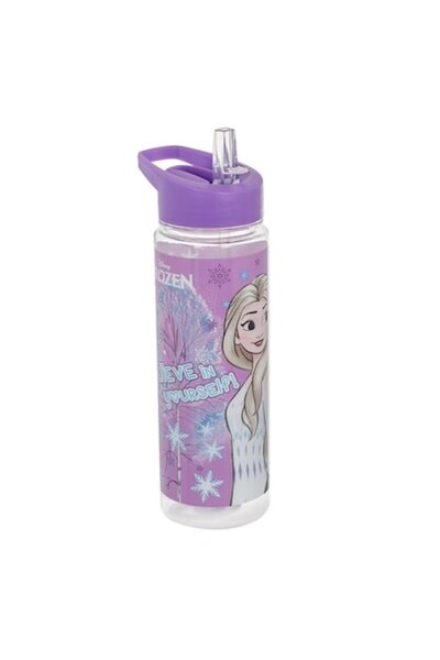 SHOPIENS Sticlă de apă Disney Frozen „Crede în tine” - Anna și Elsa, Mov, 0,65L, Plastic