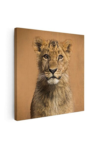 Tablou Canvas Tablou portret pui de leu, cod 3235