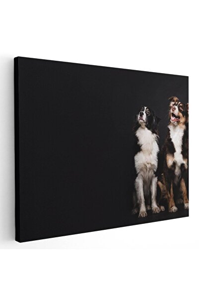 Tablou Canvas Tablou doi caini uitandu-se in sus, cod 4269