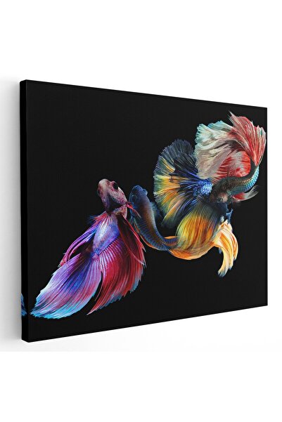 Tablou Canvas Tablou pesti luptatori siamezi pe fundal negru, multicolor, cod 1623