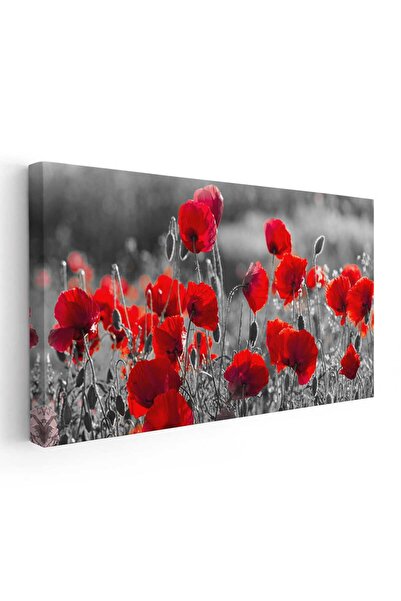 Tablou Canvas Tablou peisaj cu maci rosii, cod 4500