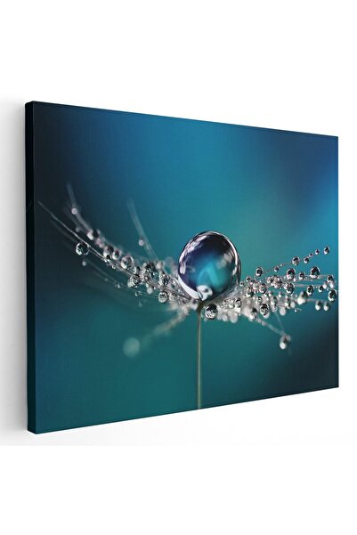 Tablou Canvas Tablou picaturi de roua pe papadie, detaliu, albastru, cod 1442