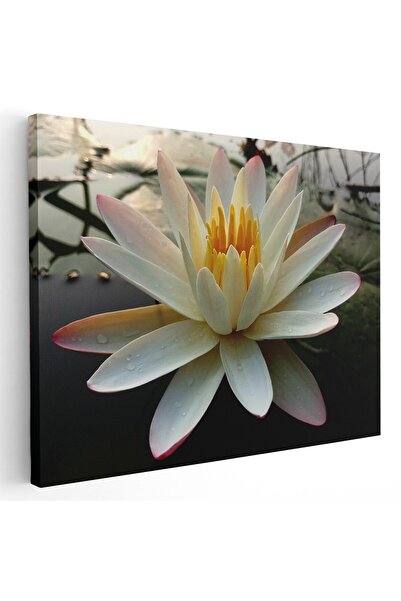 Tablou Canvas Tablou floare de lotus alb pe lac, cod 1992