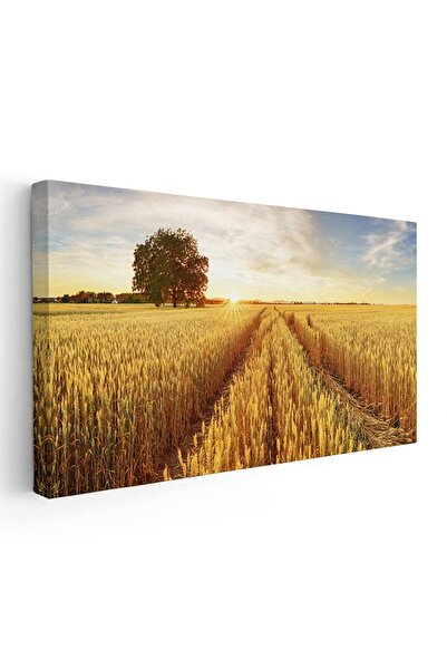 Tablou Canvas Tablou peisaj camp de grau cu copac la apus, cod 1785
