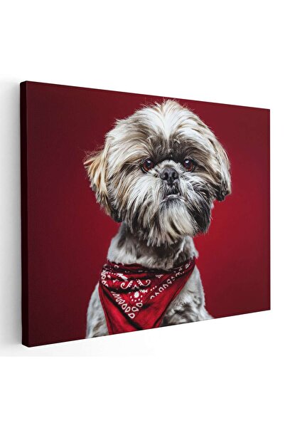 Tablou Canvas Tablou caine Shih Tzu cu bandana, cod 4178